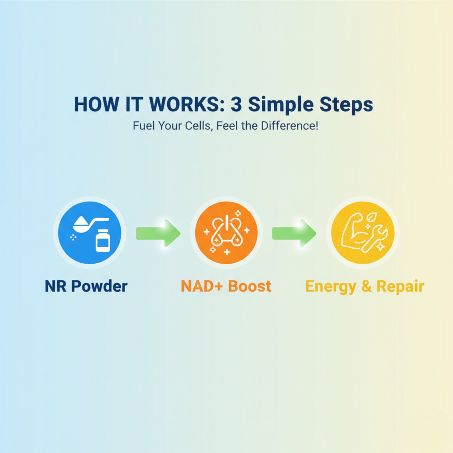 Nicotinamide Riboside (NR) Powder - Energy & Anti-Aging Support