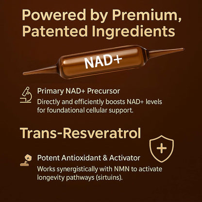 Advanced NAD+ Booster – 10 Liquid Vials (1200mg)